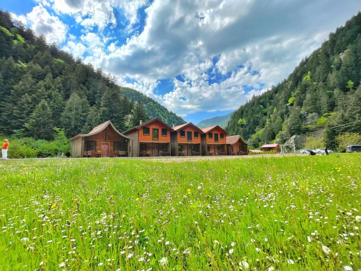 Raha Villa Bungalow Uzungöl Esterno foto